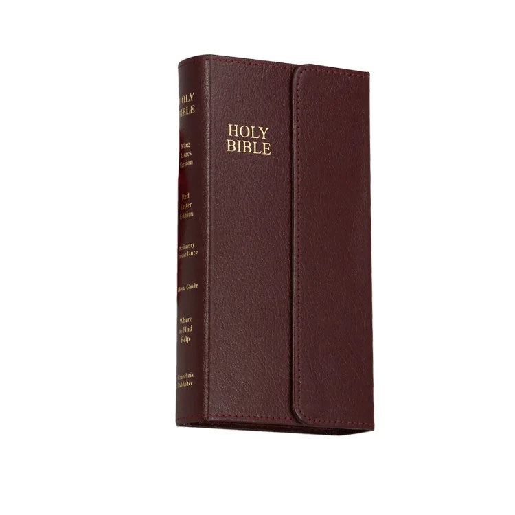 Gold Print Bible New International Version Large Print Bible
