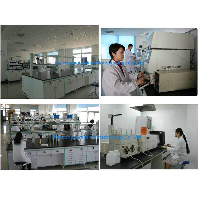 Vegetable Origin Food Thickening Agent Pullulan Powder CAS 9057-02-7