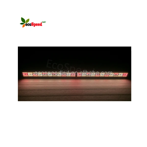 best designed popular hydroponic greenhouse Shenzhen Manufacture Lm 301b 301h Dimmable led grow light 240watt 300watt
