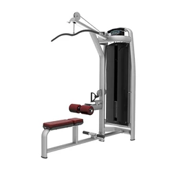 Home & Gym Use Lat Pulldown & Low Row