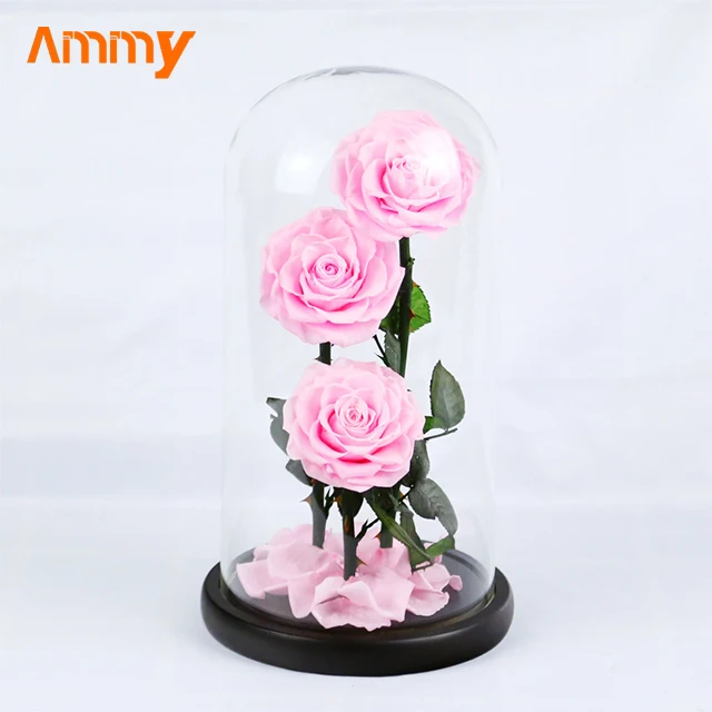 Ammy Factory Preserved Flower Rose Big Prince 3 Red Roses  Forever Flowers Eternal Roses In Glass Dome For Valentines Day Gifts