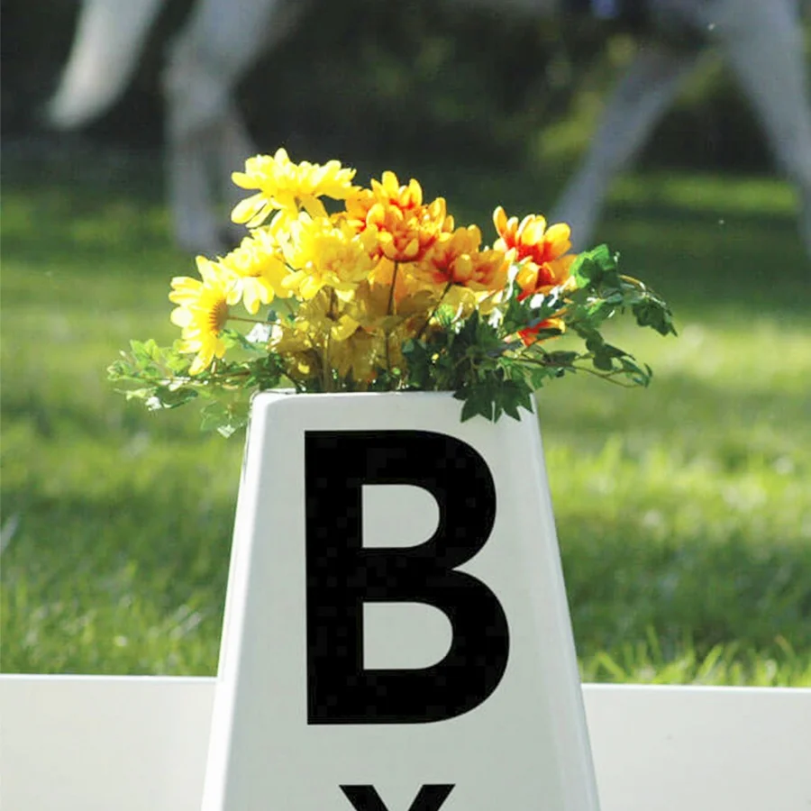 Fentech top quality small portable plastic dressage arena