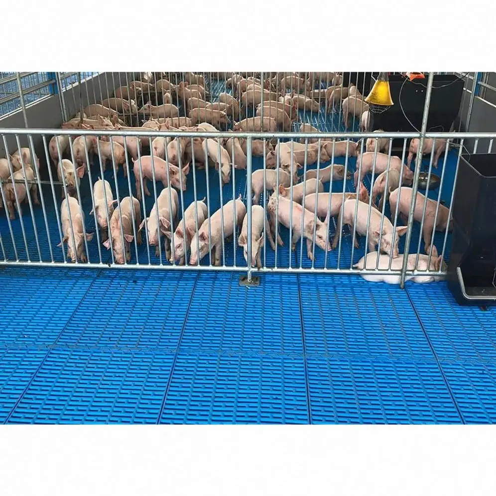 Изготовленный на заказ Новый продукт удобный и экологически чистый прочный свиноводческое оборудование ящик для откорма свиней