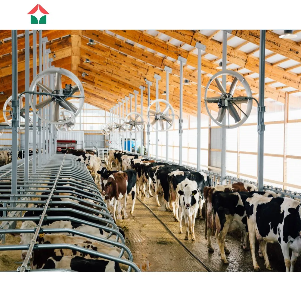 Easy Install Cow Shed Goat Sheds Prefabricated Cattle Farming House Barn Cow Hangar Shed Steel Structure