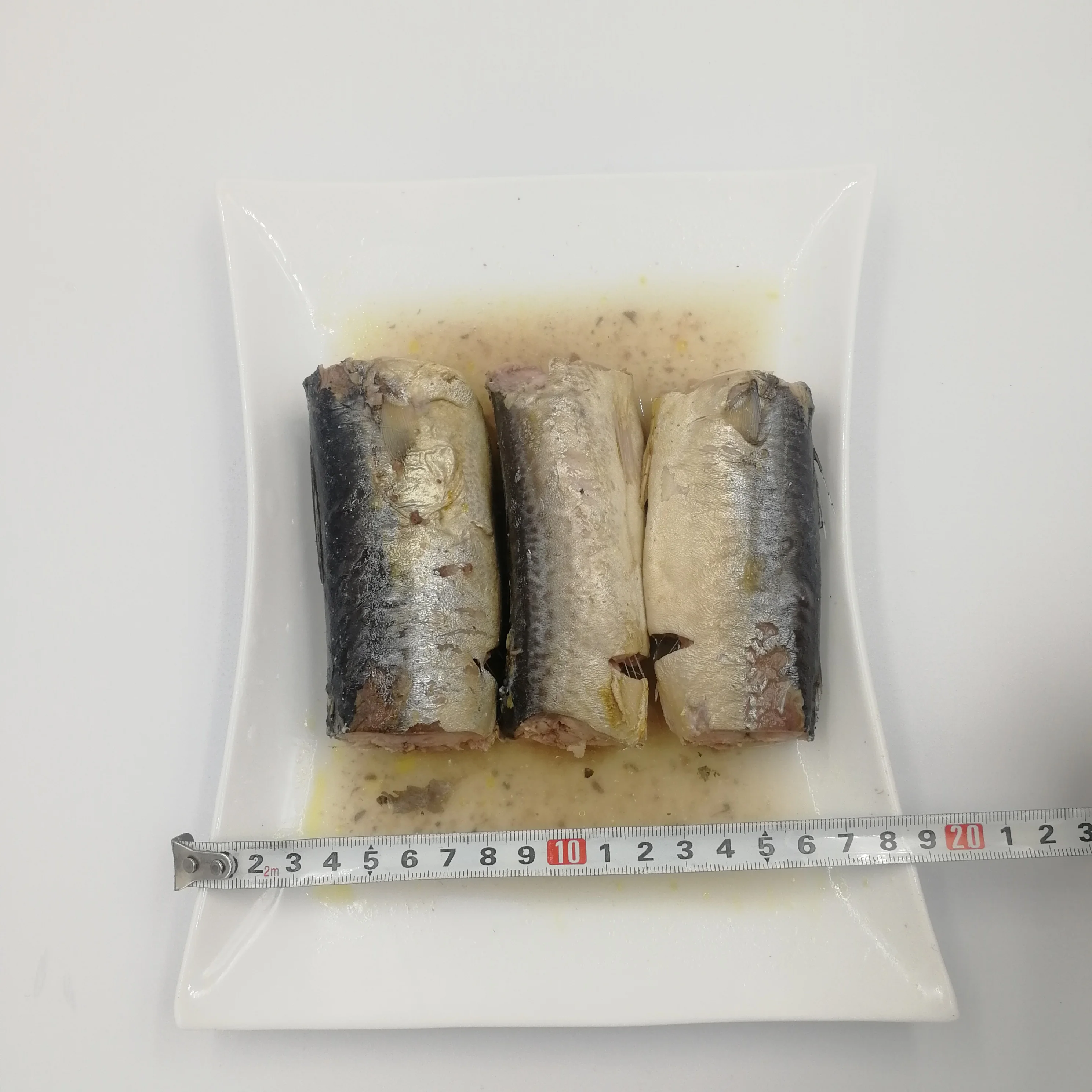 
Canned jack mackerel JUREL Trachurus in Brine 425G 