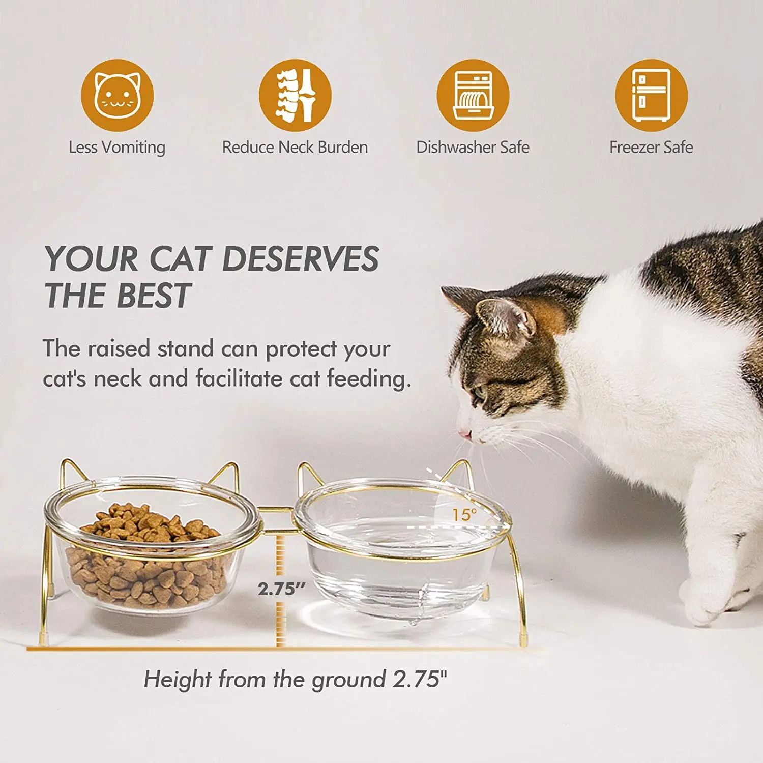 Personalized Elevated Raised Tilted Slanted Glass Stainless Steel Heated Cute Bowls For Cat Dog