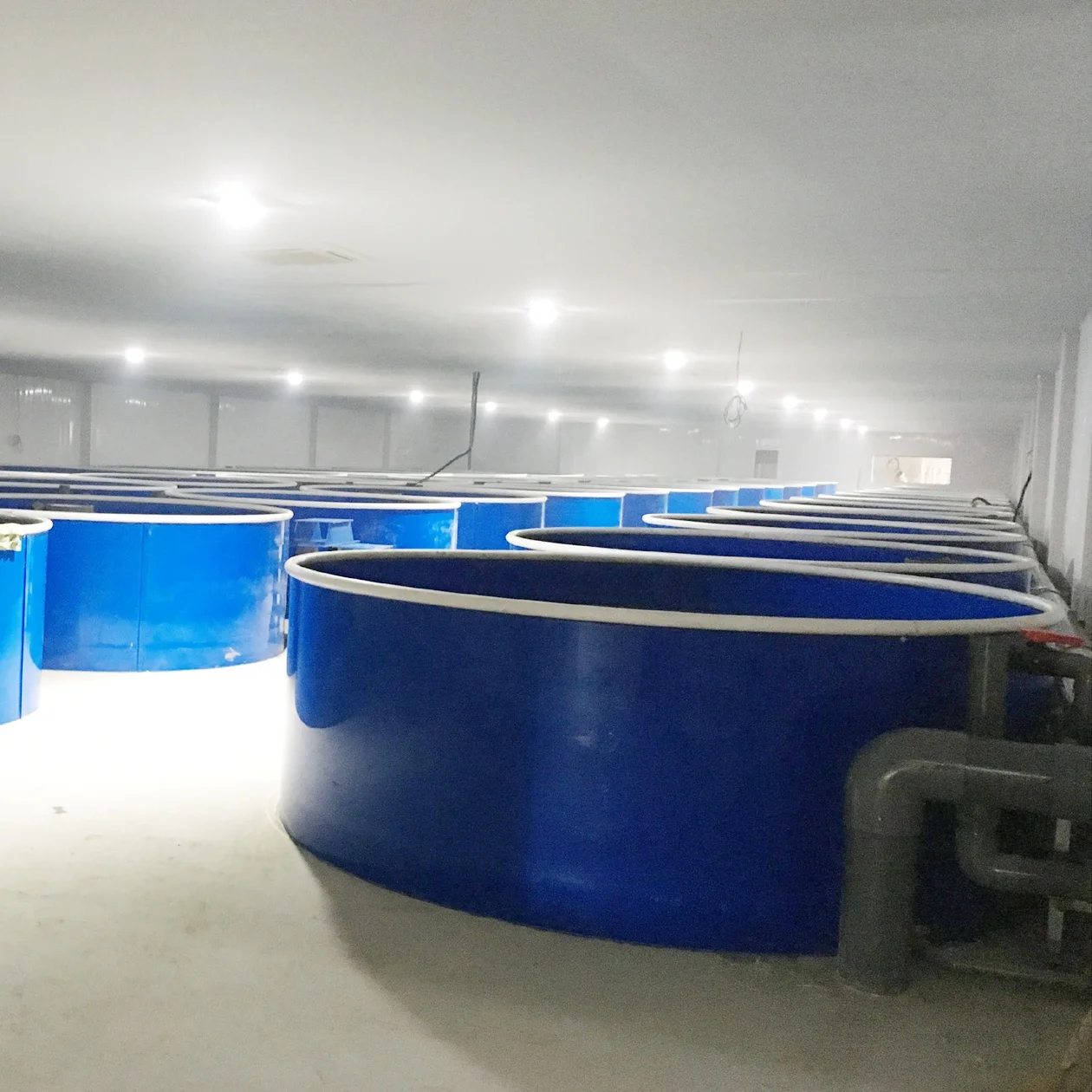 
Ras System Aquaculture Pond Ras Farming System, Aquaculture Shrimp Tilapia Fish Farming Equipment 