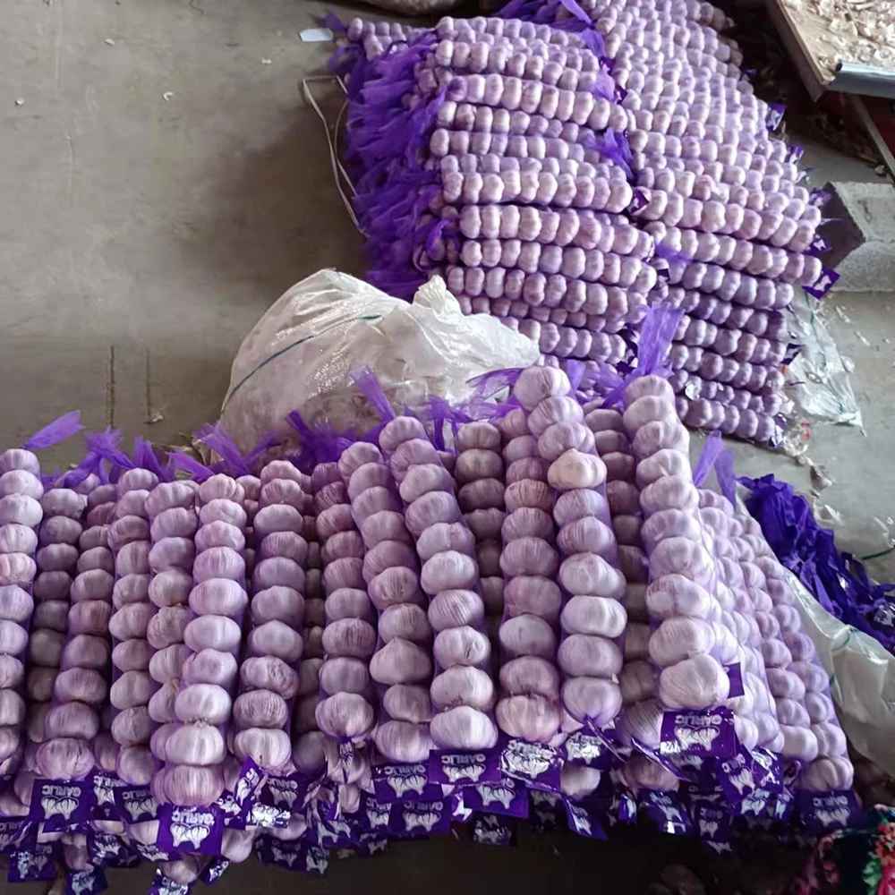 4.5-5.0cm 5.0-5.5cm Chinese fresh garlic in bulk With Best Quality
