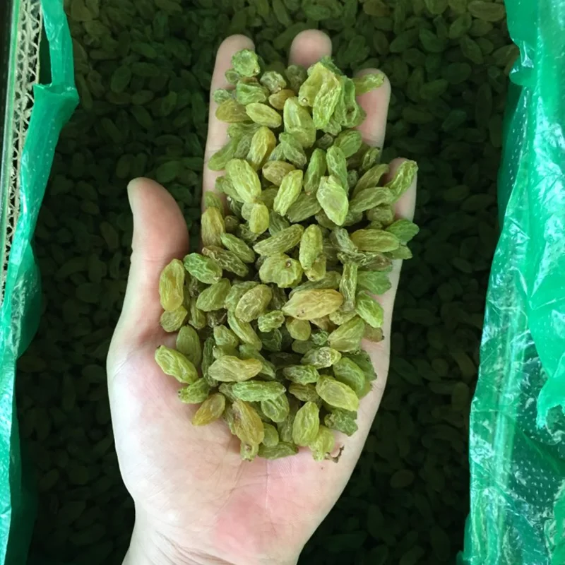 Factory dried 95 green raisins