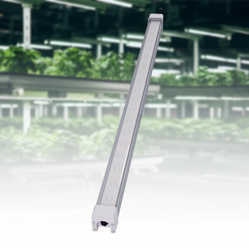 Learnew Wholesale Plant Hydroponics Vegetable Customized Spectrum Link T8 LED Grow Light