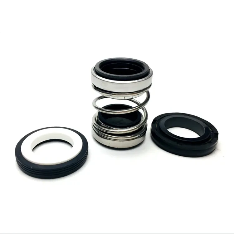 Stainless Steel Chemical Water Pump Seal Kit Rubber and Plastic Mechanical Shaft Seals with SIC and Silicone TC Style
