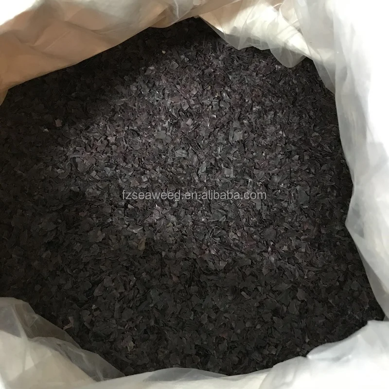 Горячие продажи красных водорослей сушеные водоросли Dulse