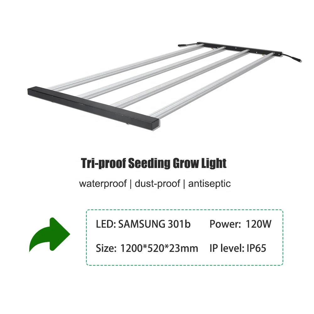 
New Design Led Grow light Instead of T5 Veg Seedling Plant Growing for Vegetables Tomatoes Lettuce 