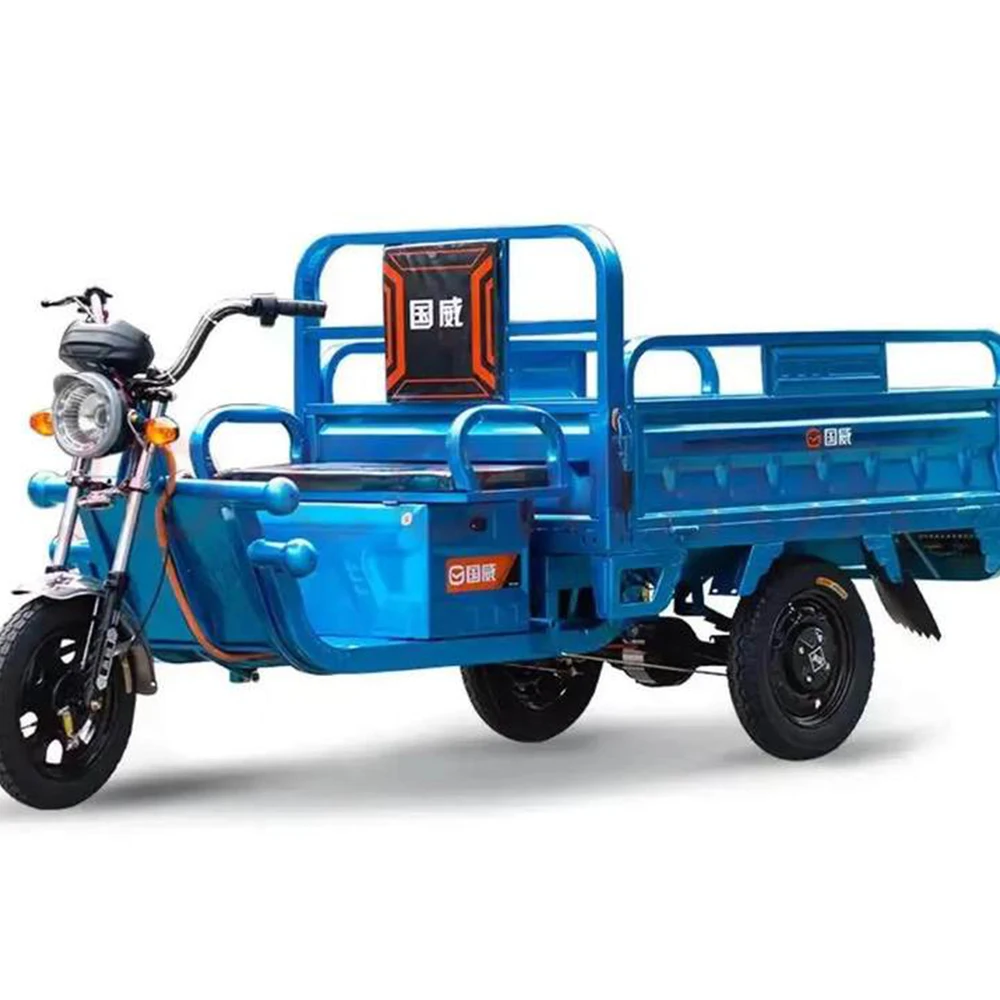 Family Use Farm Cargo Powerful Motor 1000W 1200W Adult Cargo Tricycle Electric Tricycle