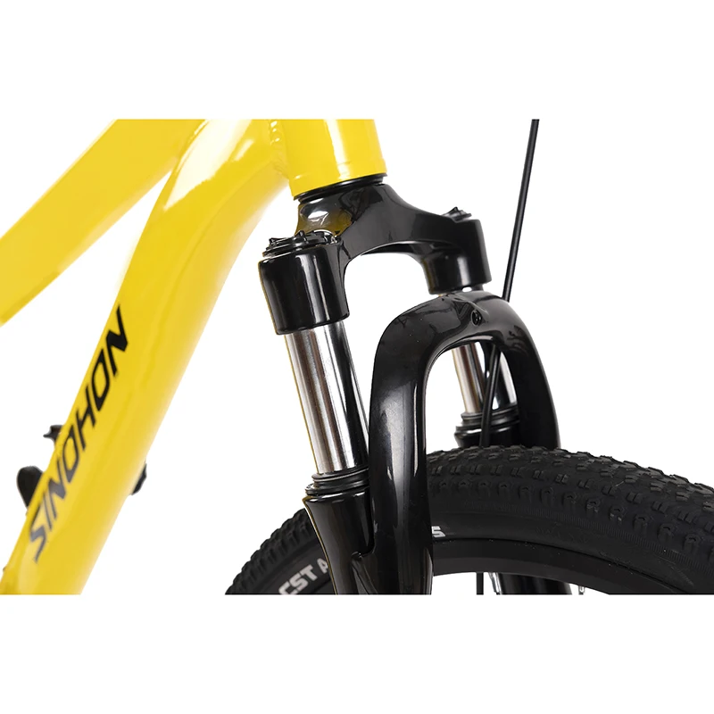 City Bicycle Professional Supplies High Quality Aluminum Price Mountain Bikes Road Bicycle