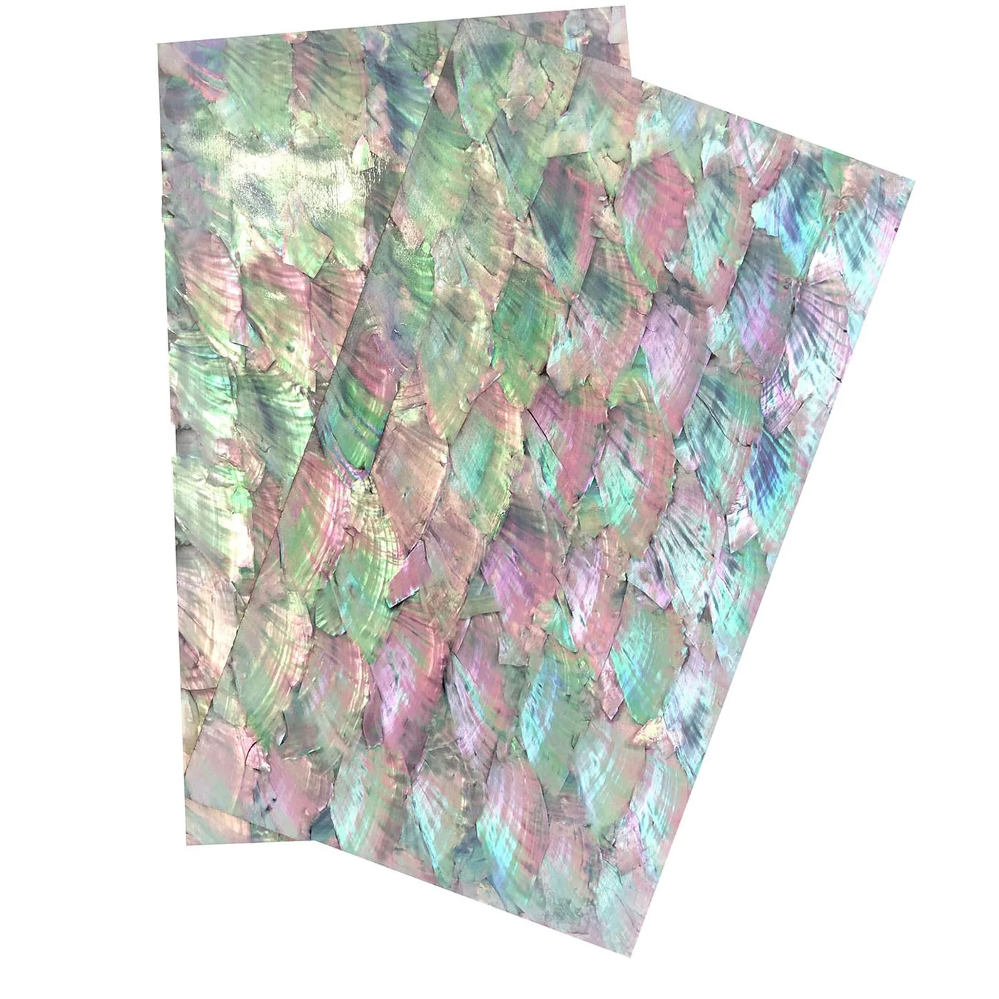 XE-065 Customization  Natural Shell Paper Scallop  In Shell Seashell Mosaic For Art Craft Home Decoration Carving