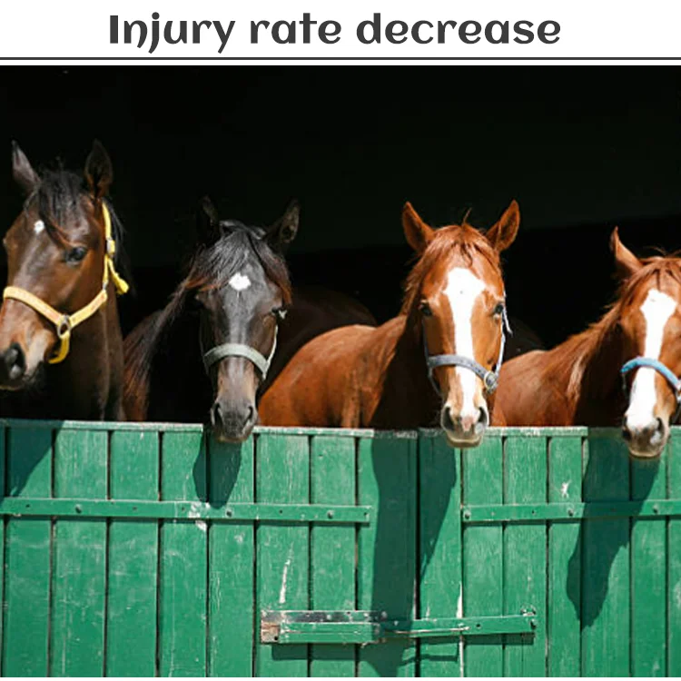 Non-toxic Horse stall mats Injury rate decrease EVA Material Livestock enclosures mat Low thermal conductivity Horse mat