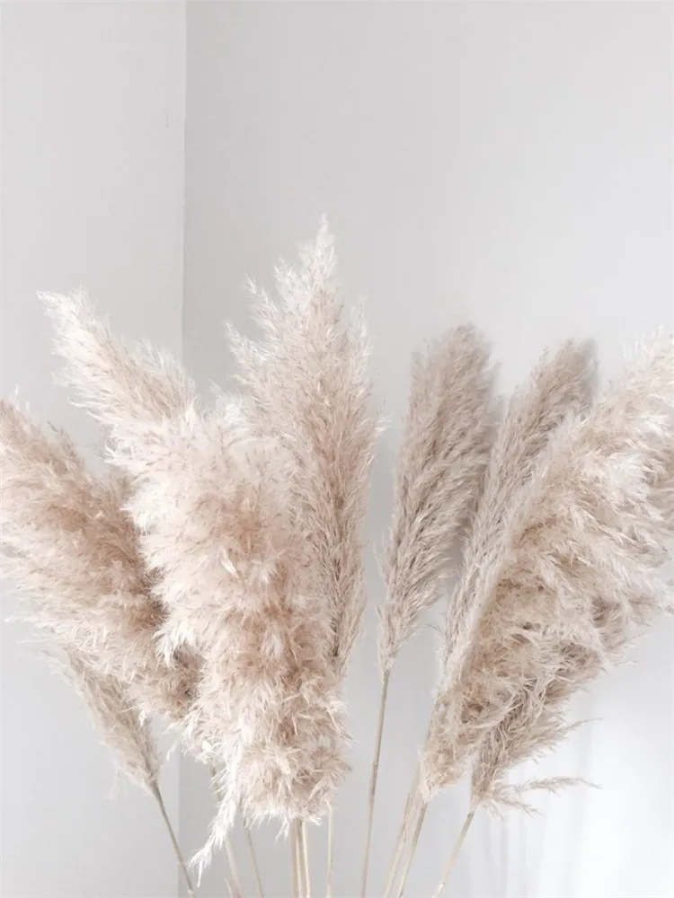 UO new arrivals natural artificial flowers large pampas gray pampas grass dried flower plume size 60cm boho decorative flowers