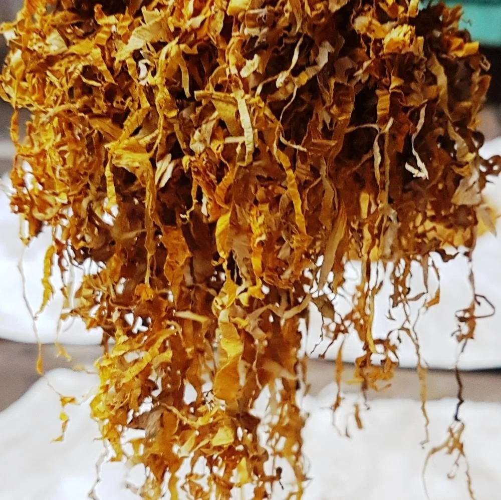 MN Red golden White herbs for Shisha Bulk best herbs for Shisha Nargile Molasses factory supply shisha Herbs