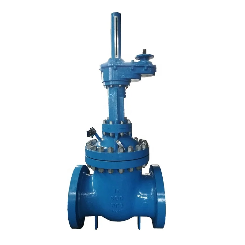 600LB High Pressure Rising Stem Carbon Steel Gate Valve Epoxy Powder Coated