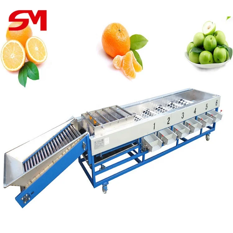 High Efficient Most World Popular Frozen Cherry Tomatoes Sorting Machine