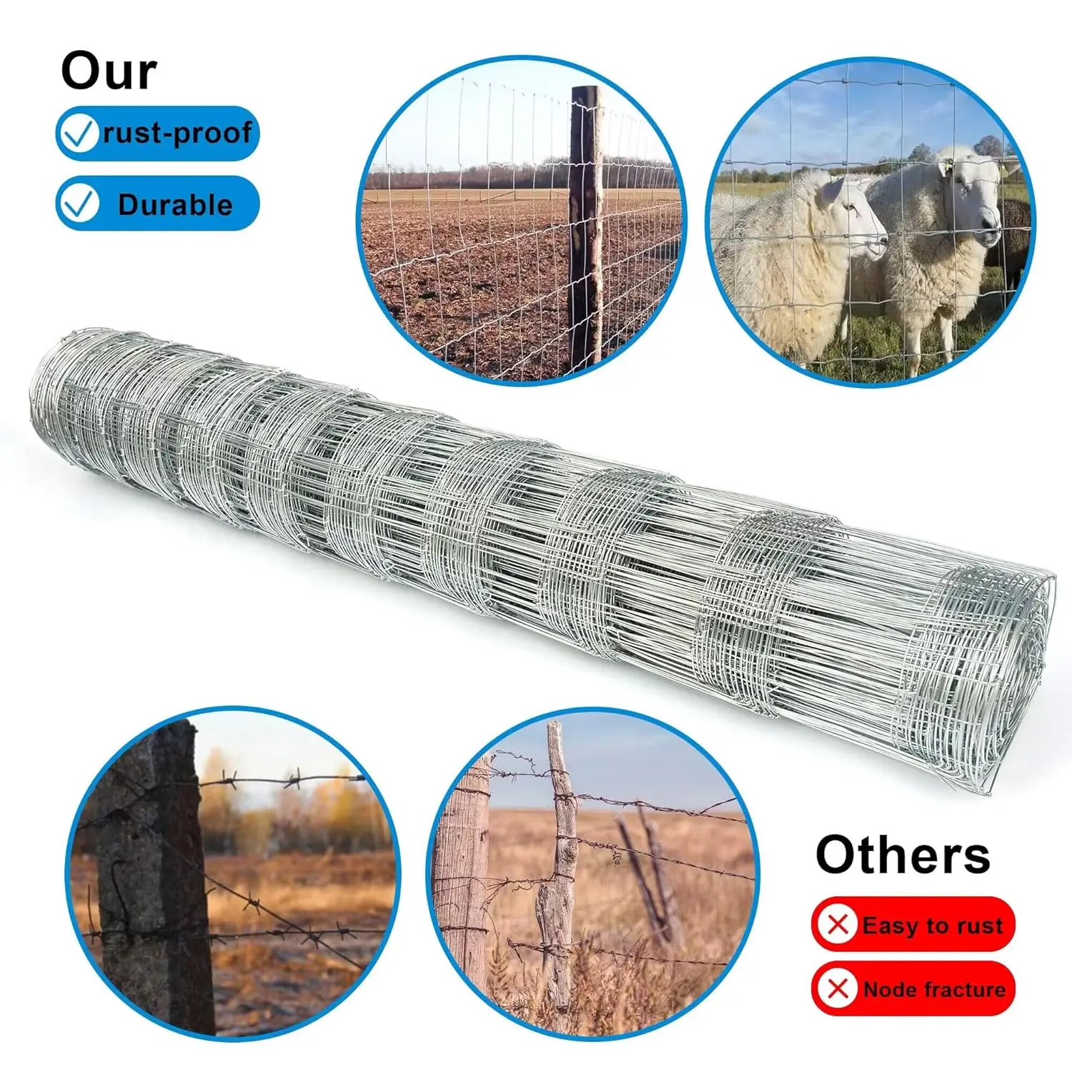 2024 Zinc Coated Galvanized Welded Wire Welded Iron Wire Mesh And 2x2 Galvanized Cattle Welded Wire Mesh Panel
