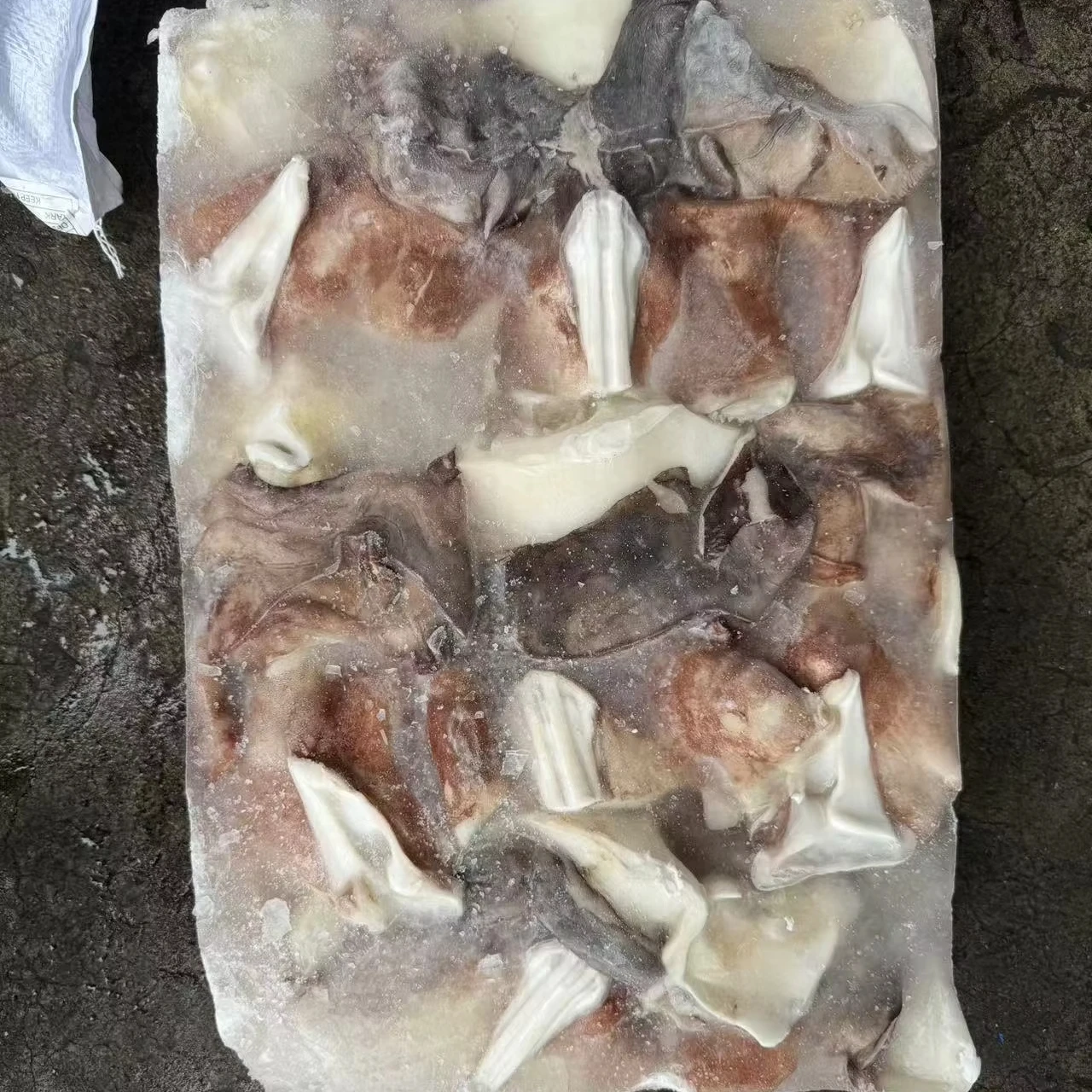 Щупальца кальмара Dosidicus Gigas оптом