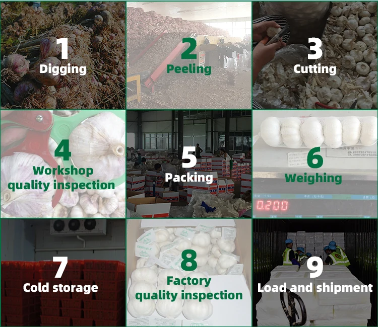 New China fresh vegetables white garlic and red garlic wholesale price for export