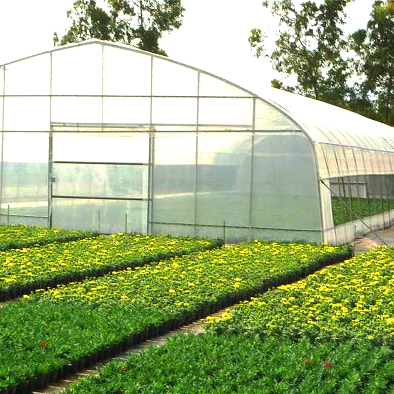 Plastic Film Covered Tunnel Greenhouse with Hot-dip galvanized Pipes for fastening Tomatoes and Melons Grow