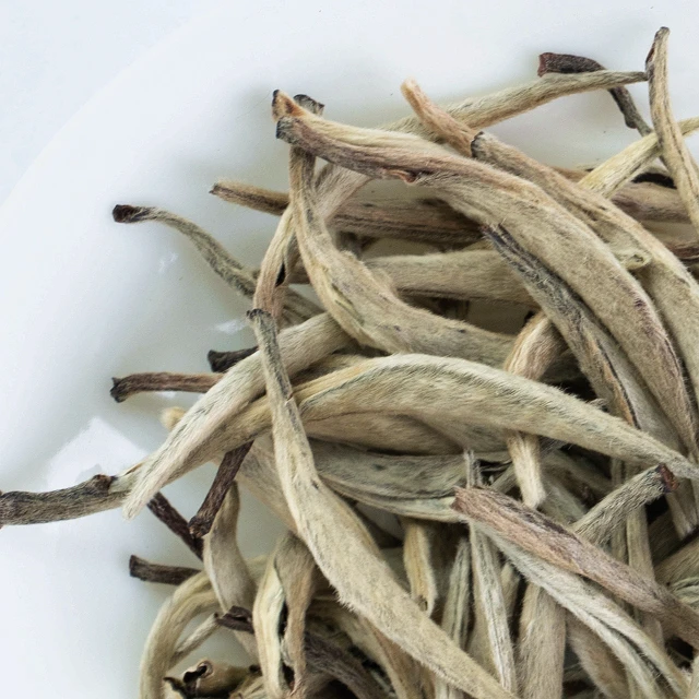 white silver needle tea luxury bai cha bai hao yin zhen
