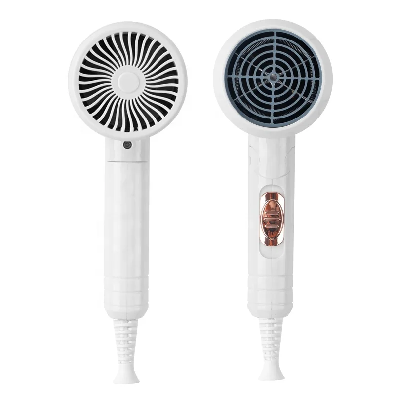 Anion Mini Professional Student Dormitory Blow Dryer Hotel Foldable Hair Dryer