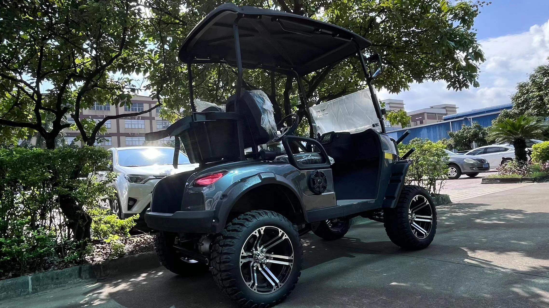 Custom 2 4 6 8 seater Golf Cart Beach Golf Buggy Lifted Off-Road Cart Newly Design Hunting Car Electric Vehicle