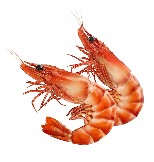 High concentrated shrimp flavor for foods with wholesale price