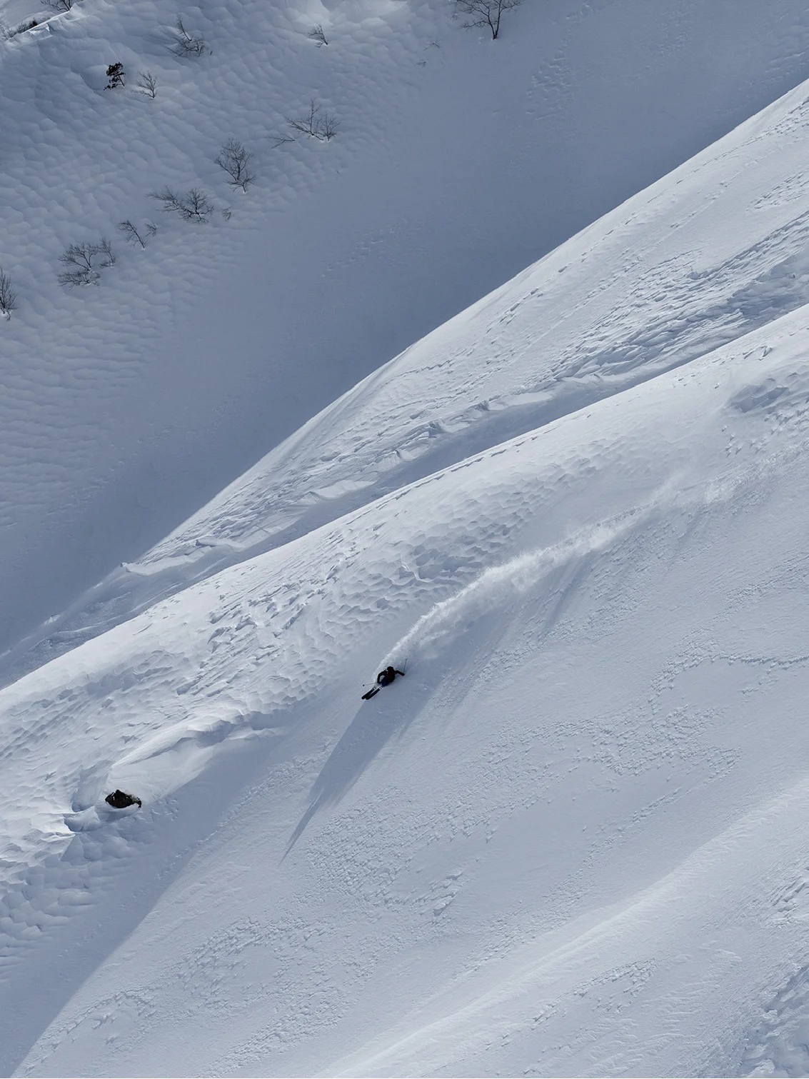 FLORUIT Hot Sale Tip snowboards Carbon Fiber snowboard  For Adults High Quality Custom Skis OEM&ODM