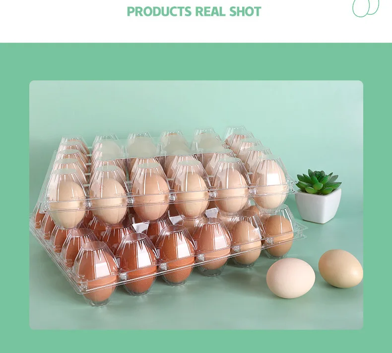 Thickened egg packaging box Disposable plastic transparent preserved egg salted duck egg tray blister storage box