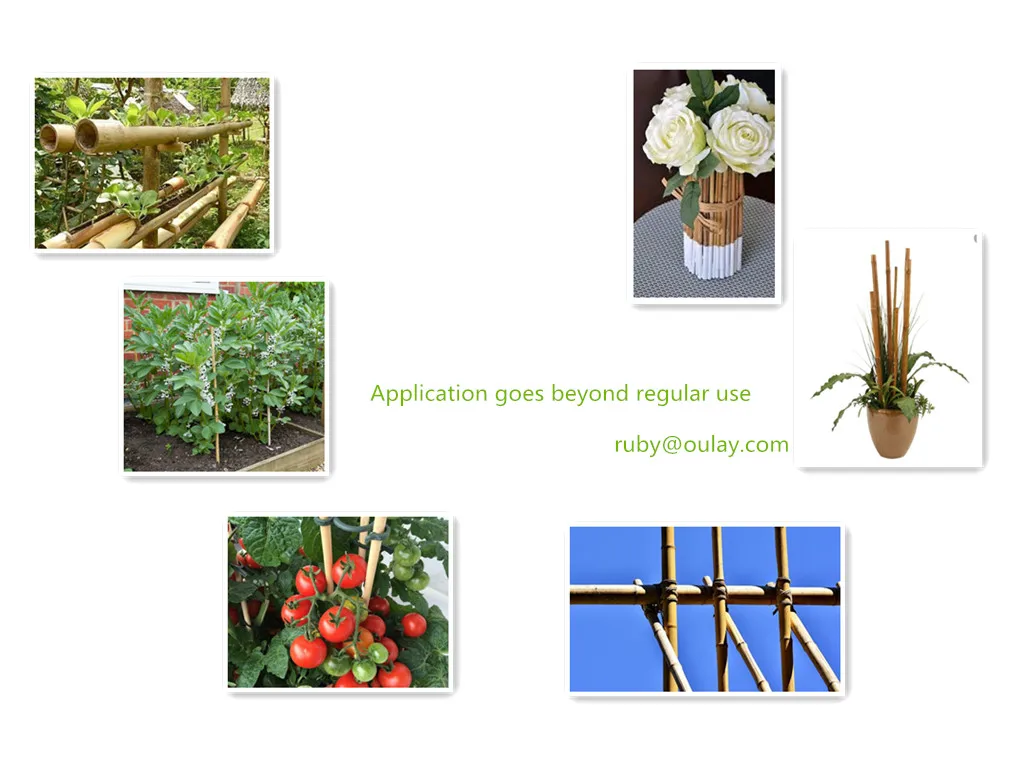 Bamboo  poles Climbing.jpg