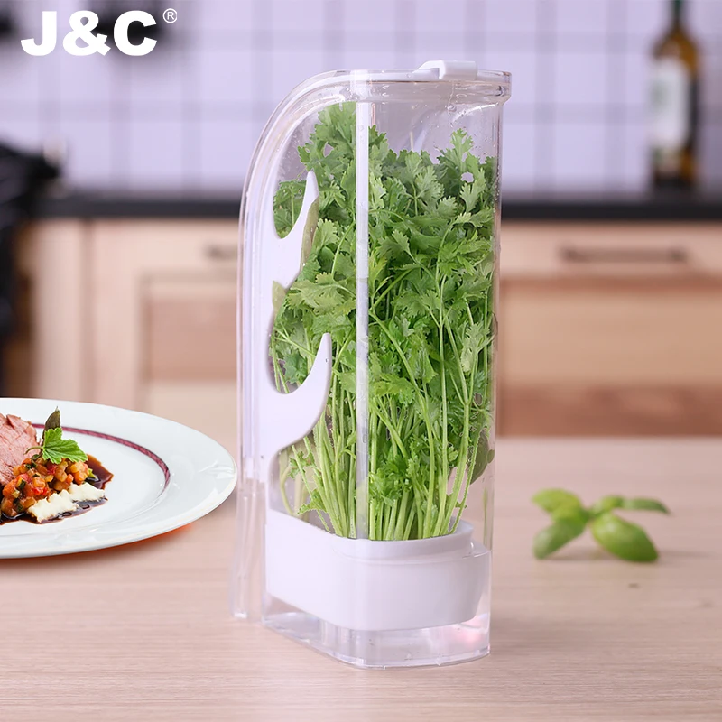 vegetable saver fresh herb Keeper and herb storage container produce and greens fresh