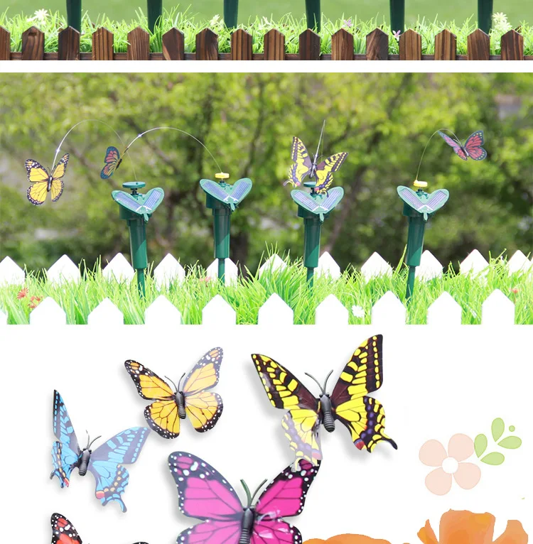 Butterfly details page_14