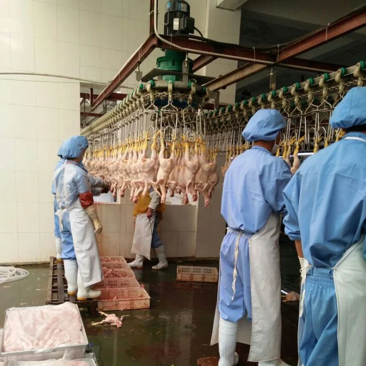 automatic chicken killing line machine / chicken slaughterhouse manufacturer /poultry slaughter machine