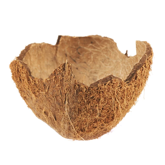 
Wholesale Raw Coconut Shell for Charcoal Material 