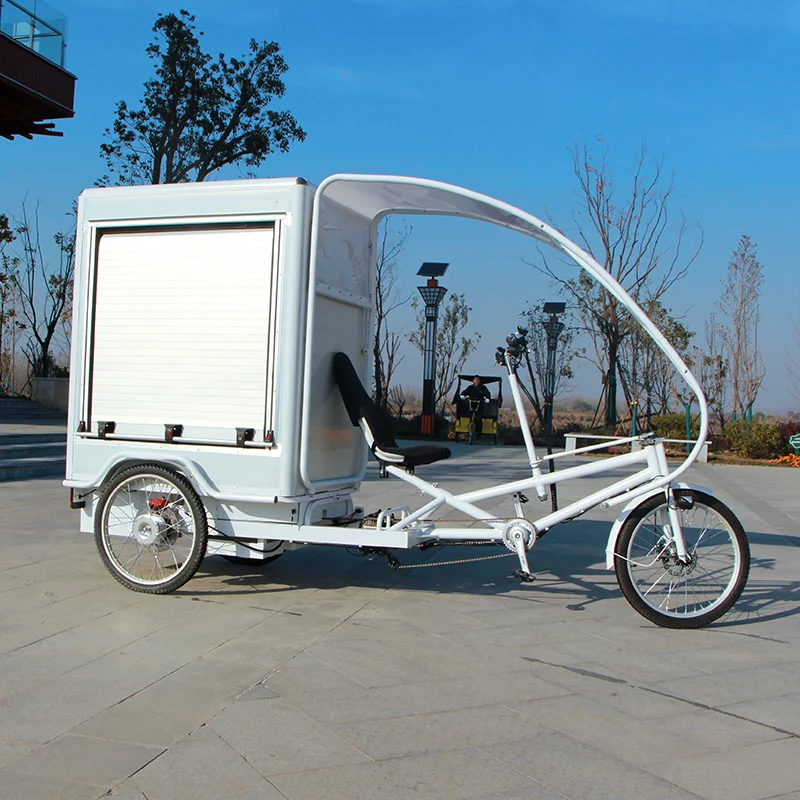Heavy loading new design electric bicycle cargo bike adults electric tricycle 3 wheels bike three wheel bicycle cargo bike