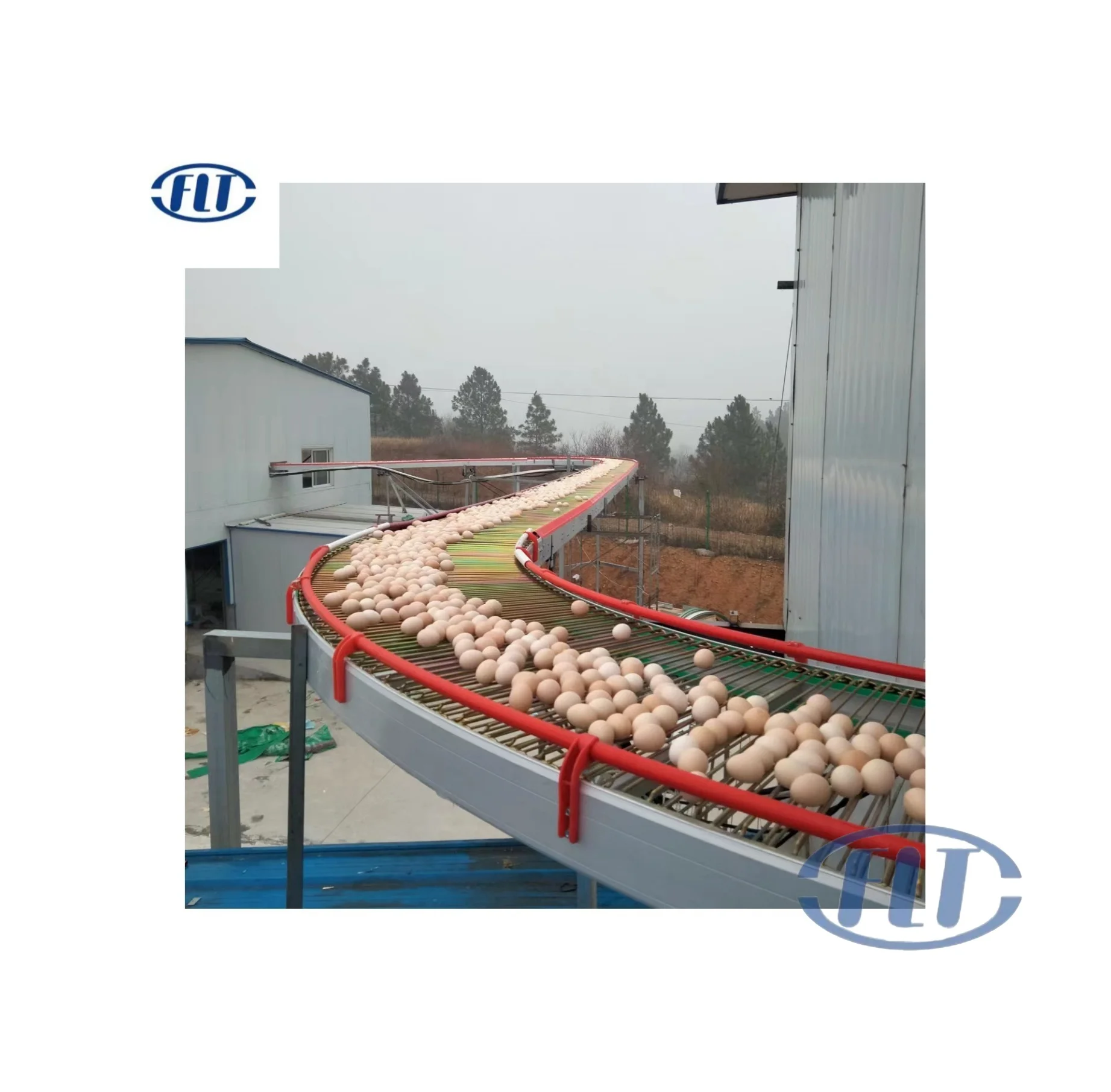 600mm 750mm Chicken Egg Conveying Equipment chain Conveyor Chain