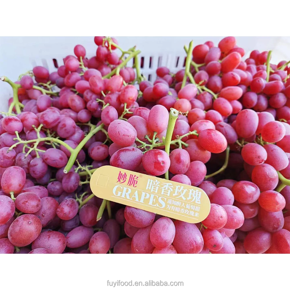 Fresh High Quality Export Supplier Fresh Red Globe Grapes