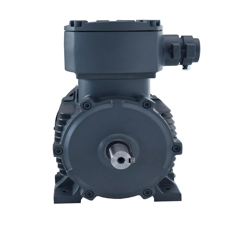 LEADGO Manufacture Prices YBX3 Special Design Explosion-proof All Copper Three-Phase Asynchronous Electric ac Motor