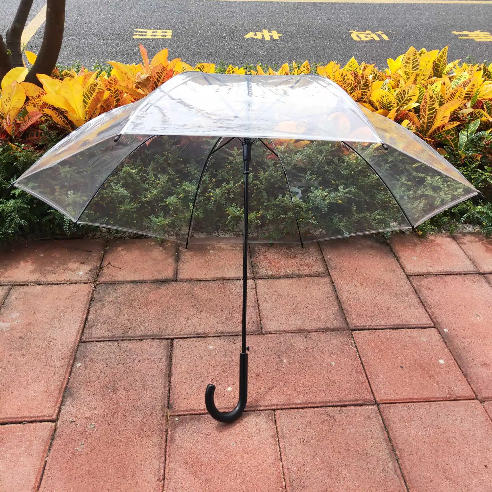 China Umbrella Factory Wholesale cheap POE White Handle Transparent Clear Umbrella umbrellas