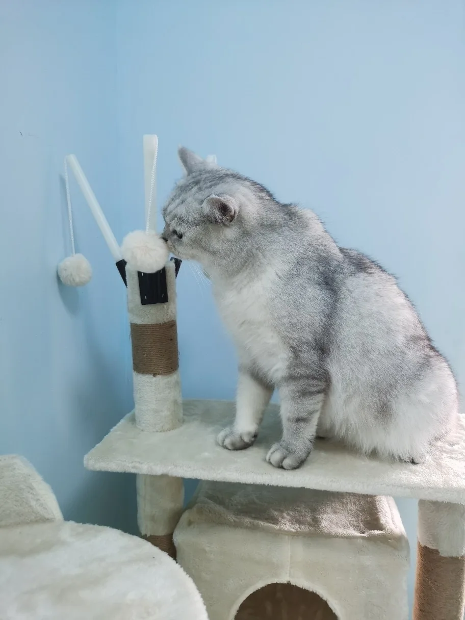 Cute Solid Indoor Wooden Cat Tree Cat Tower with Hammock Scratch Post Climbing Web Dangling Sisal Ball Pet Toy