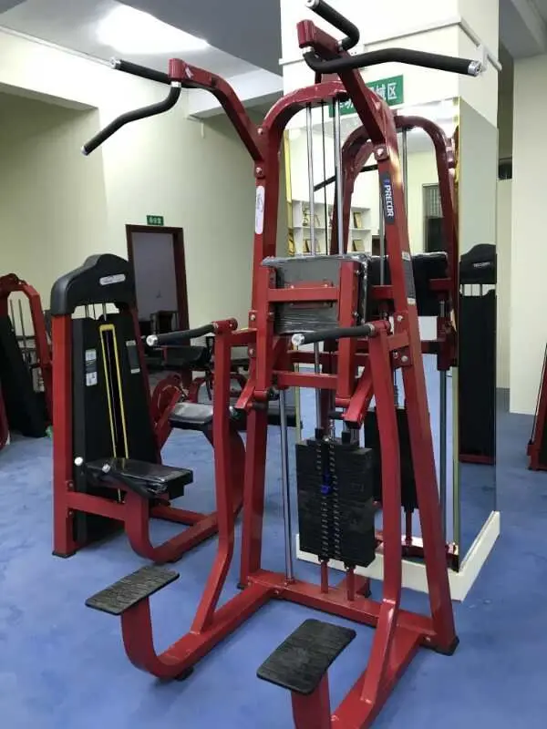 Commercial Dip Chin assist machine home plate loaded selection gym sports equipment with factory price