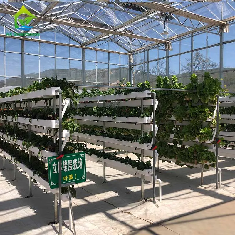 Hydroponic deep water culture system