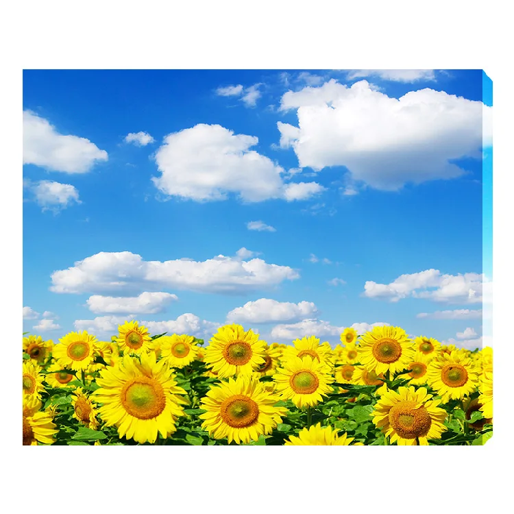 Diamond painting sunflower landscape 40*50, width full diamond painting  with frame tools diy manual