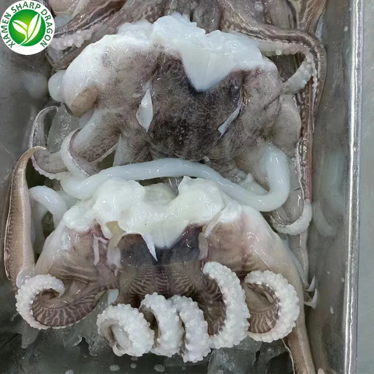 IQF Frozen Baby Cut Octopus China EDIBLE Octopus Fish SD Freeze Dried Baby Octopus